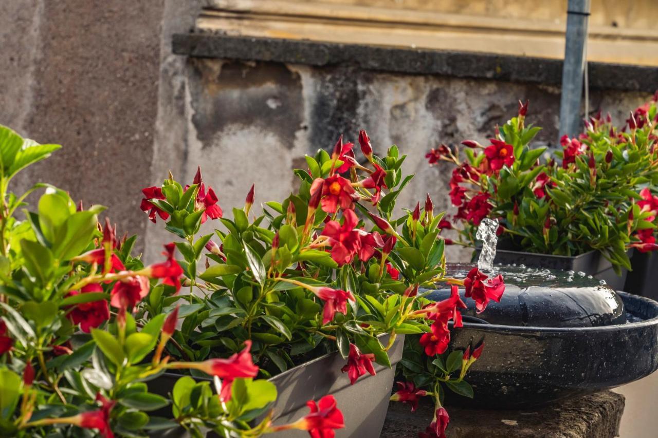 Ag Spanish Steps Terrace Rome Exterior photo